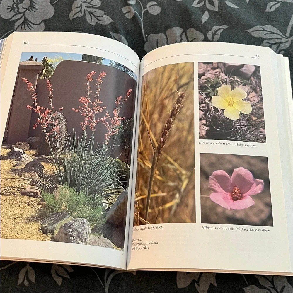 Plants for Dry Climates  and Native Plants for Southwestern Landscapes Bundle